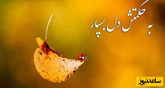 کائنات پیام ویژه‌ای برات داره؛ اگر  هیاهوی دنیا خسته‌ت کرده، بیا کمی ساکت‌تر کنار هم بنشینیم نیازی به حرف نیست فقط ما باشیم و نفس‌هایی که یادشون رفته آرام بگیرن