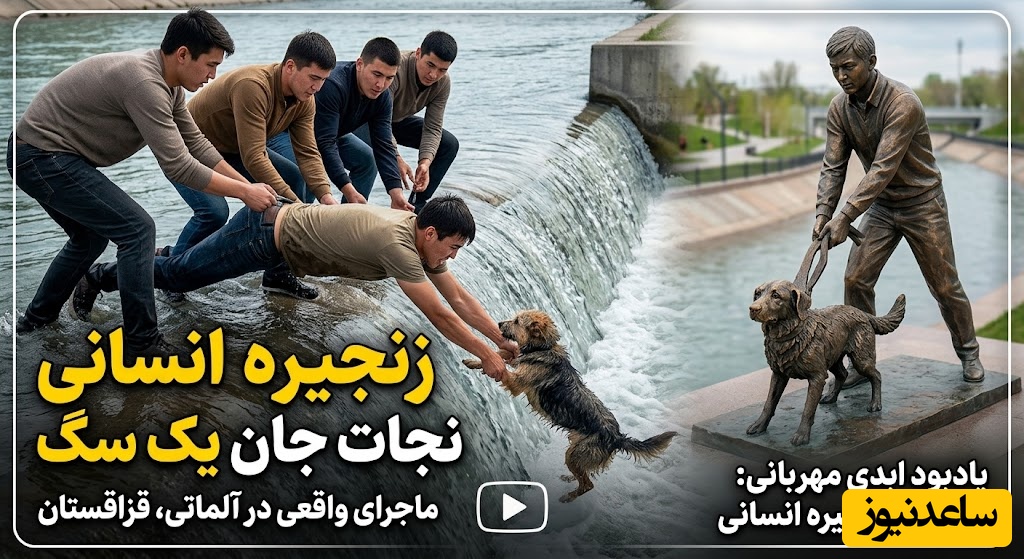 رازی که پشت این تندیس نهفته است، تا آخر ببینید و شوکه شوید!/ به تصویر کشیدن قدرت کار تیمی در یک اتفاق واقعی+ ویدئو