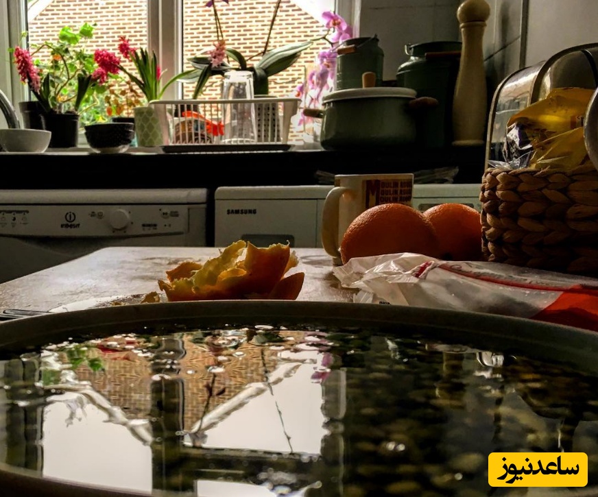 منزل فلامک جنیدی