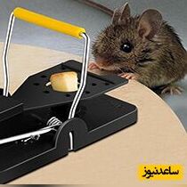 خلاقیت خنده دار یک ایرانی در اختراع دستگاه برای شکار موش خانه اش/ اسم تو رو باید تو گینس ثبت کنن! +فیلم