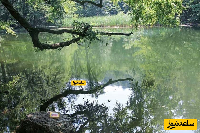 دریاچه فراخین نوشهر و جاذبه های آن!