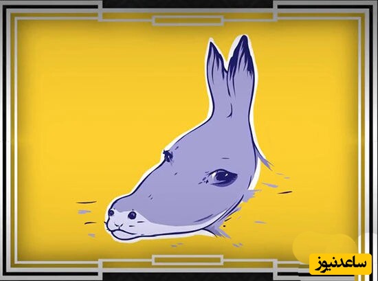 چالش شخصیت شناسی/ آنچه در نگاه اول می‌بینید لایه‌های پنهان شخصیت شما را آشکار می کند