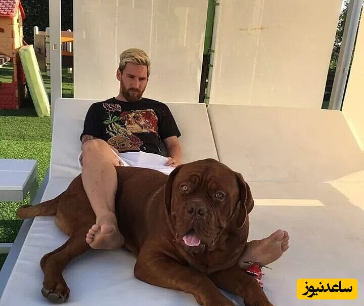 مسی به همراه سگش