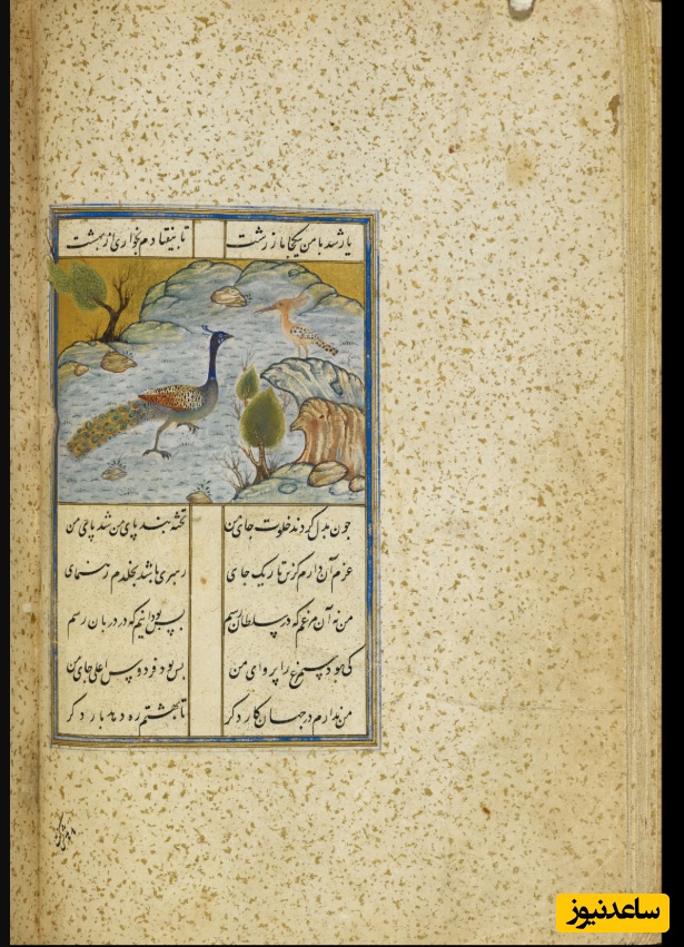 نسخه خطی منطق الطیر عطار