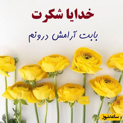 شکرگزاری صبحگاهی/ خدایا ممنونم که هر صبح به من یادآوری می‌کنی هنوز فرصت تغییر، رشد و خوشحال بودن وجود دارد../ شکرگزاری امروز 27 اردیبهشت 1405+ ویدئو