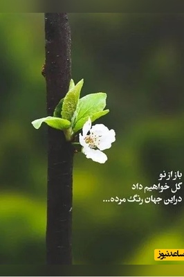 پیام امروز کائنات برای تو؛ اگر دلت گرفت از رفتن کسی، به آسمان نگاه کن… خدا همان‌جاست، جایی میان اشکت و آرامش...
