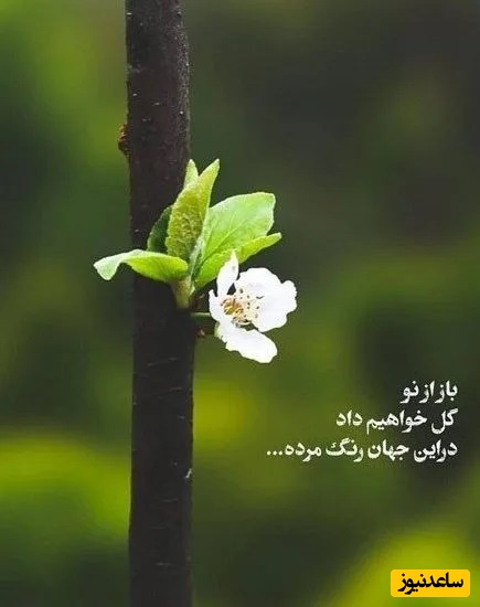 پیام امروز کائنات برای تو؛ اگر دلت گرفت از رفتن کسی، به آسمان نگاه کن… خدا همان‌جاست، جایی میان اشکت و آرامش...