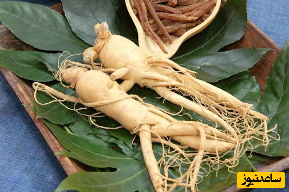 6 روش هوشمندانه برای گنجاندن جینسینگ در رژیم غذایی روزانه