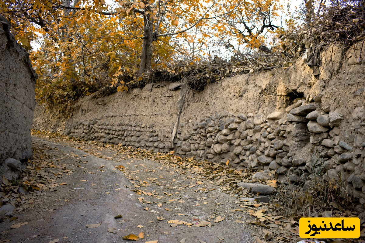 کوچه باغ کن