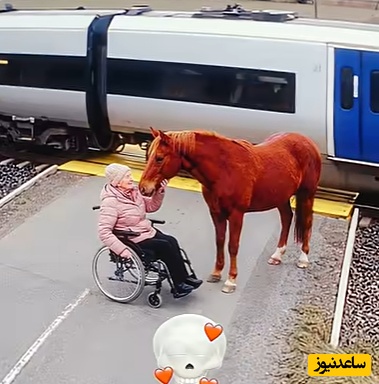 وقتی ثانیه‌ها بوی معجزه می‌دهند؛ امضای خدا پایِ دفتر زندگی/ آخری از همه جذاب تر بود ❤ + ویدئو