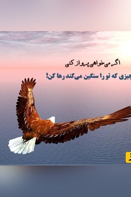 کائنات پیام ویژه‌ای برات داره؛ اگر از صداهای اضافی دنیا خسته‌ای بیا کمی کنار بنشینیم
نه حرفی می‌زنیم نه تظاهری فقط نفس‌هایمان و جایی که خستگی‌هایمان بتوانند آرام بگیرند!+ ویدیو