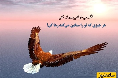 کائنات پیام ویژه‌ای برات داره؛ اگر از صداهای اضافی دنیا خسته‌ای بیا کمی کنار بنشینیم
نه حرفی می‌زنیم نه تظاهری فقط نفس‌هایمان و جایی که خستگی‌هایمان بتوانند آرام بگیرند!+ ویدیو