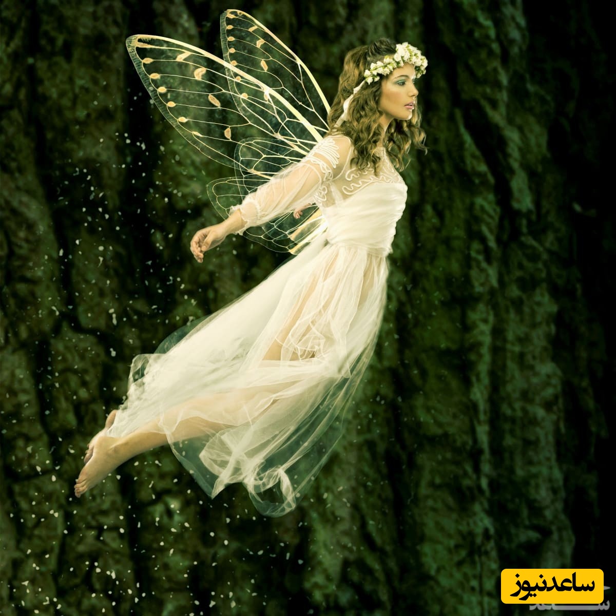 دیدن پریان در خواب چه تعبیری دارد؟  / تعبیر خواب پری