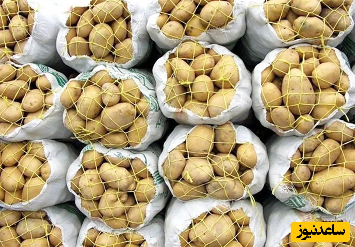 رکوردزنی قیمت سیب زمینی صدای آقای نماینده را درآورد: 70 هزار تومان؟!