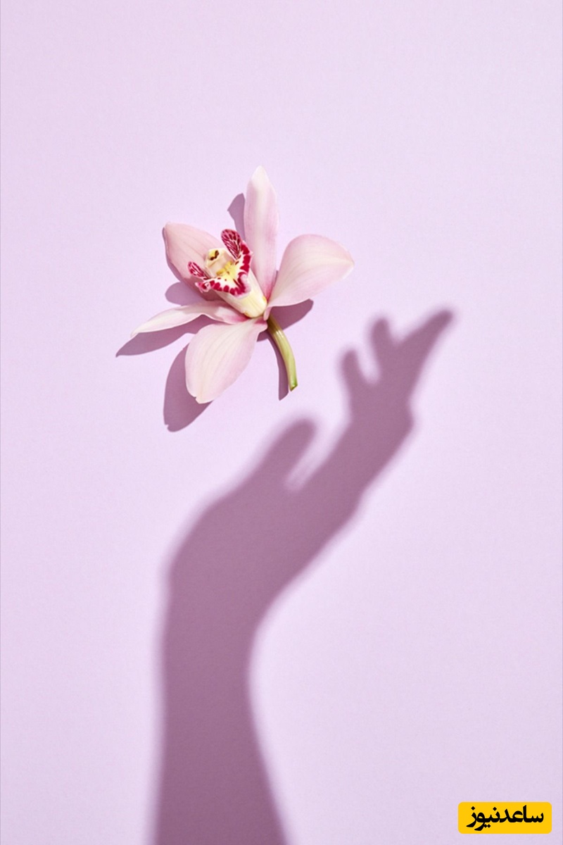 از دست دادن بکارت در اولین رابطه جنسی چه حسی دارد؟