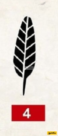 تست شخصیت شناسی