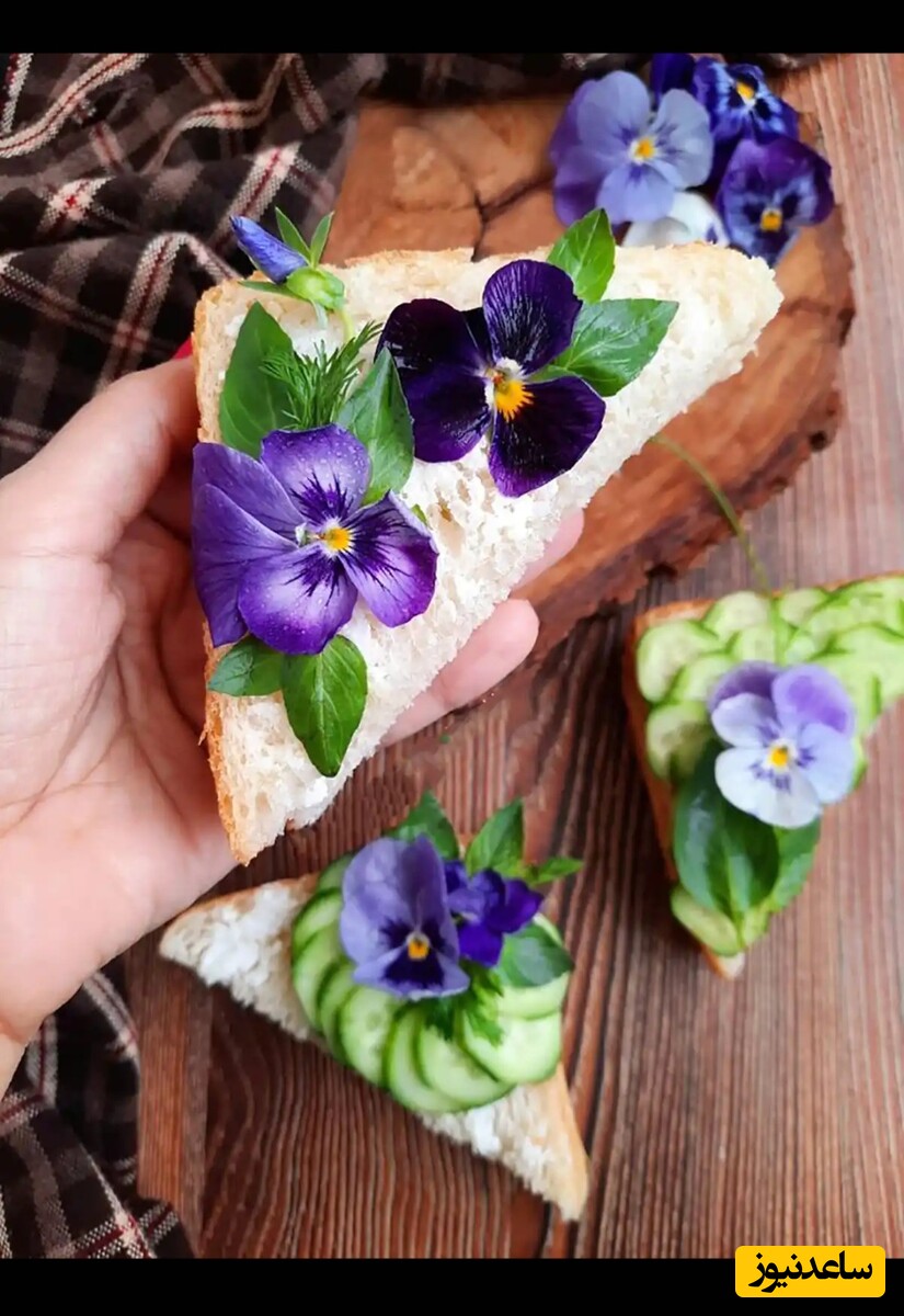 دیزاین سفره