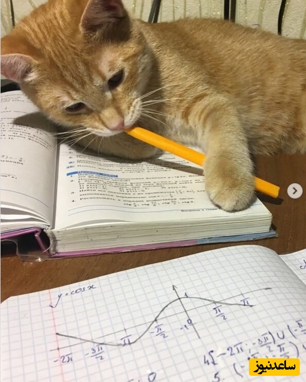 (ویدئو) طنز دانشجویی روز؛ فرق کسی که ChatGPT بلده با کسی که از هوش مصنوعی بی‌خبره😅