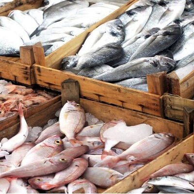 ایده جالب ماهی فروش اهوازی برای فروختن ماهی هاش/ چقدر خوش سر و زبونه!+ویدیو