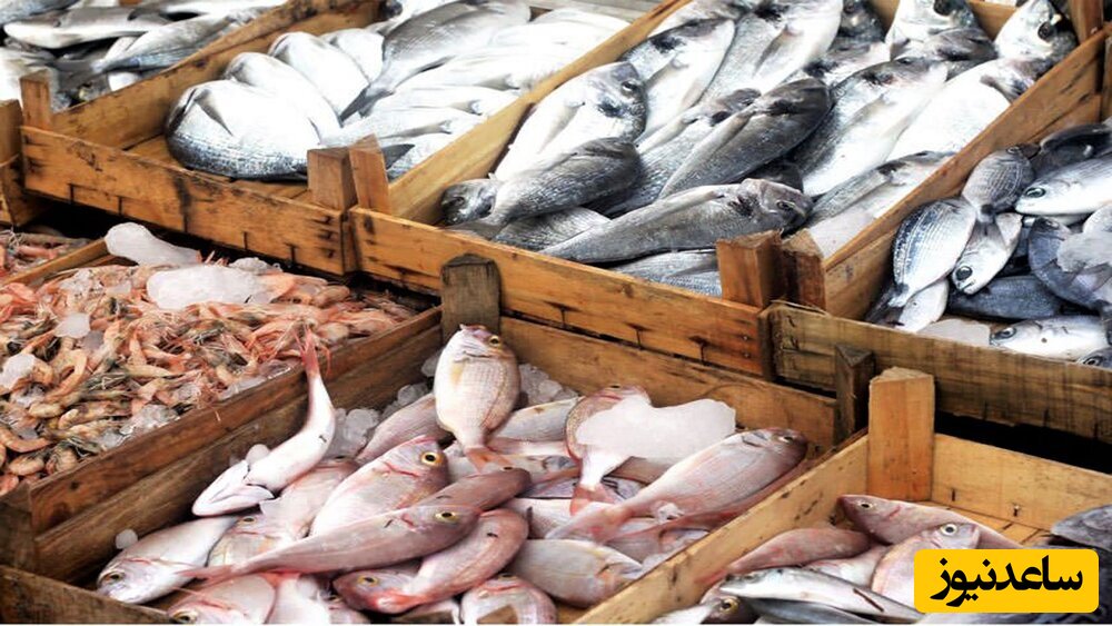 ایده جالب ماهی فروش اهوازی برای فروختن ماهی هاش/ چقدر خوش سر و زبونه!+ویدیو