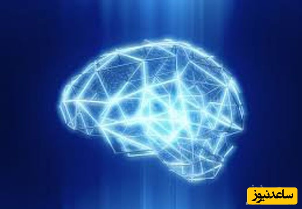 خلق ساختارهای هندسی 11 بُعدی توسط مغز انسان