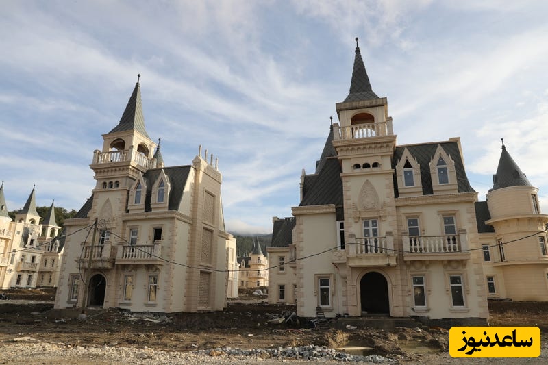 خانه هایی به شکل دیزنی لند