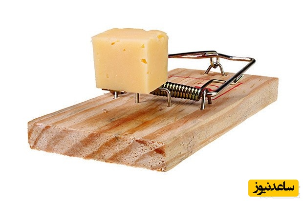 دیدن تله موش در خواب چه تعبیری دارد؟ /تعبیر خواب تله موش