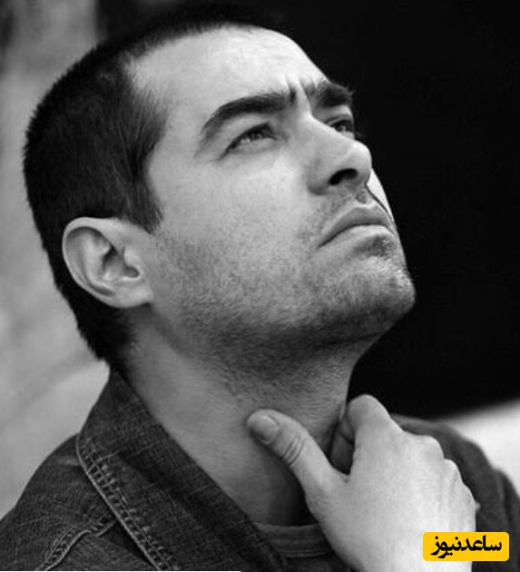 شهاب حسینی: حال گوسفند نگون بختی رو دارم که برای ادامه زندگی ، مدام باید نگران گرگ های دو پا و چهار پایی باشد که ...