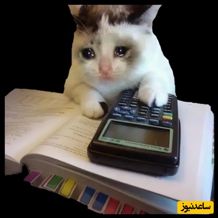 منطق سوالات امتحانی مدارس ایران/ این بی فرجامی مسائل ریاضی درد مشترک هممونه!😂 +ویدیو