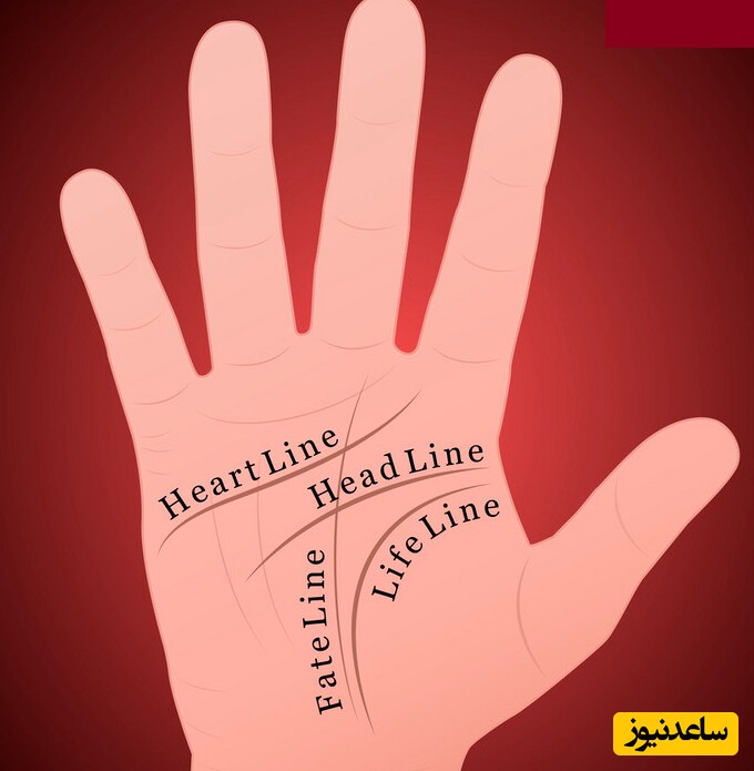 خط های کف دست