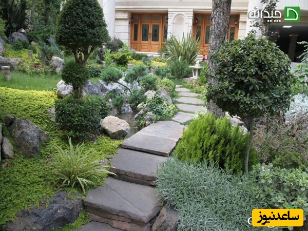 حیاط ویلا