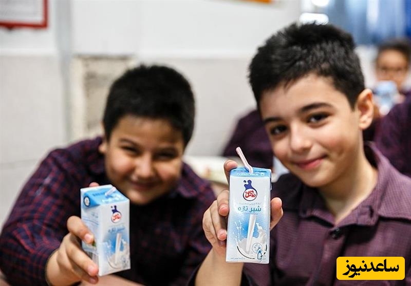 شروع توزیع شیر در مدارس کشور/ تغذیه سالم برای دانش‌آموزان