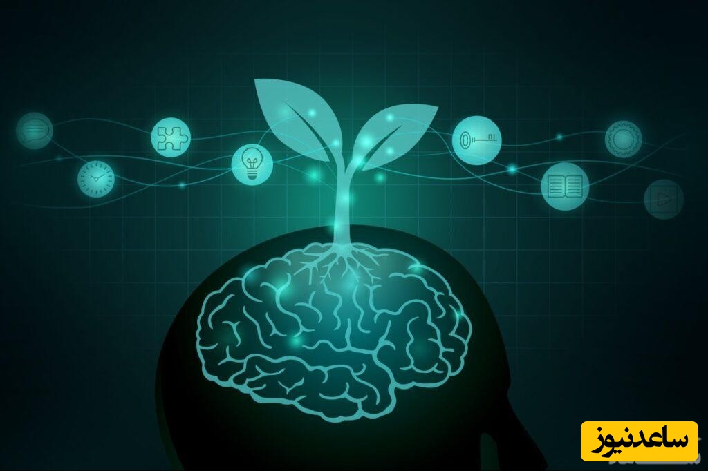 ذهنیت رشد چیست و چرا برای موفقیت شغلی ضروریست؟