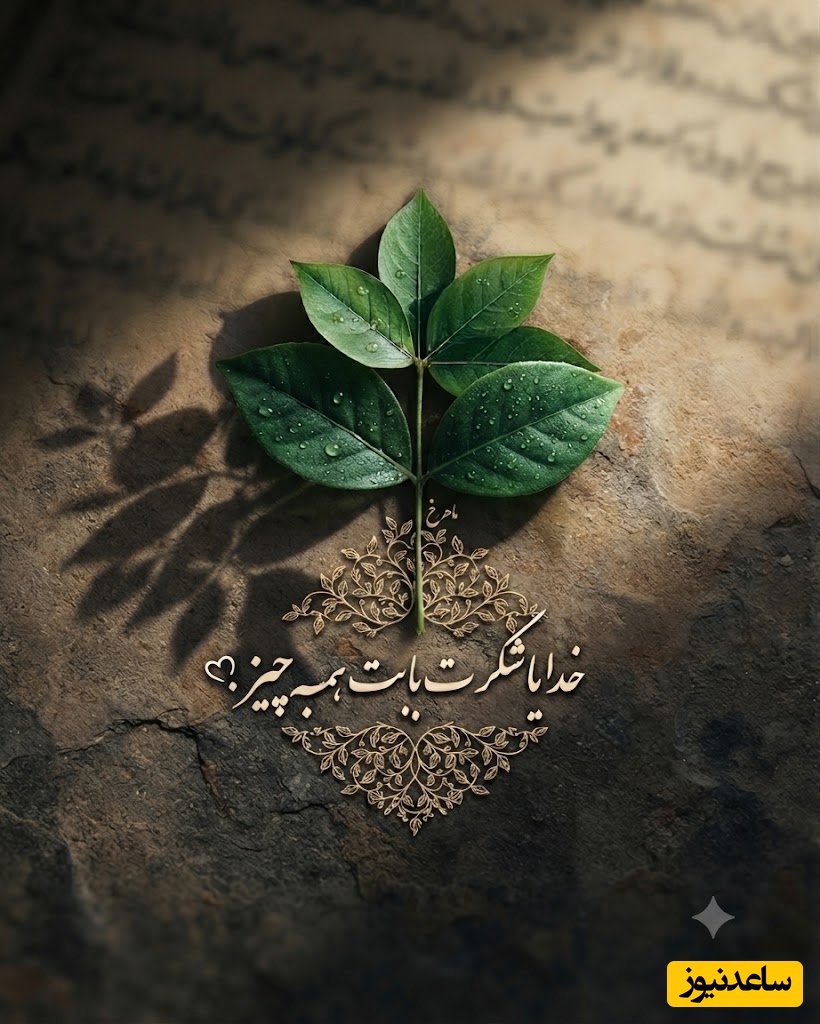 شکرگزاری صبحگاهی/ جملات ناب شکرگزاری صبحگاهی برای آغاز روزی پر از نعمت، عشق و موفقیت / شکرگزاری امروز 13 تیر 1405 + ویدئو