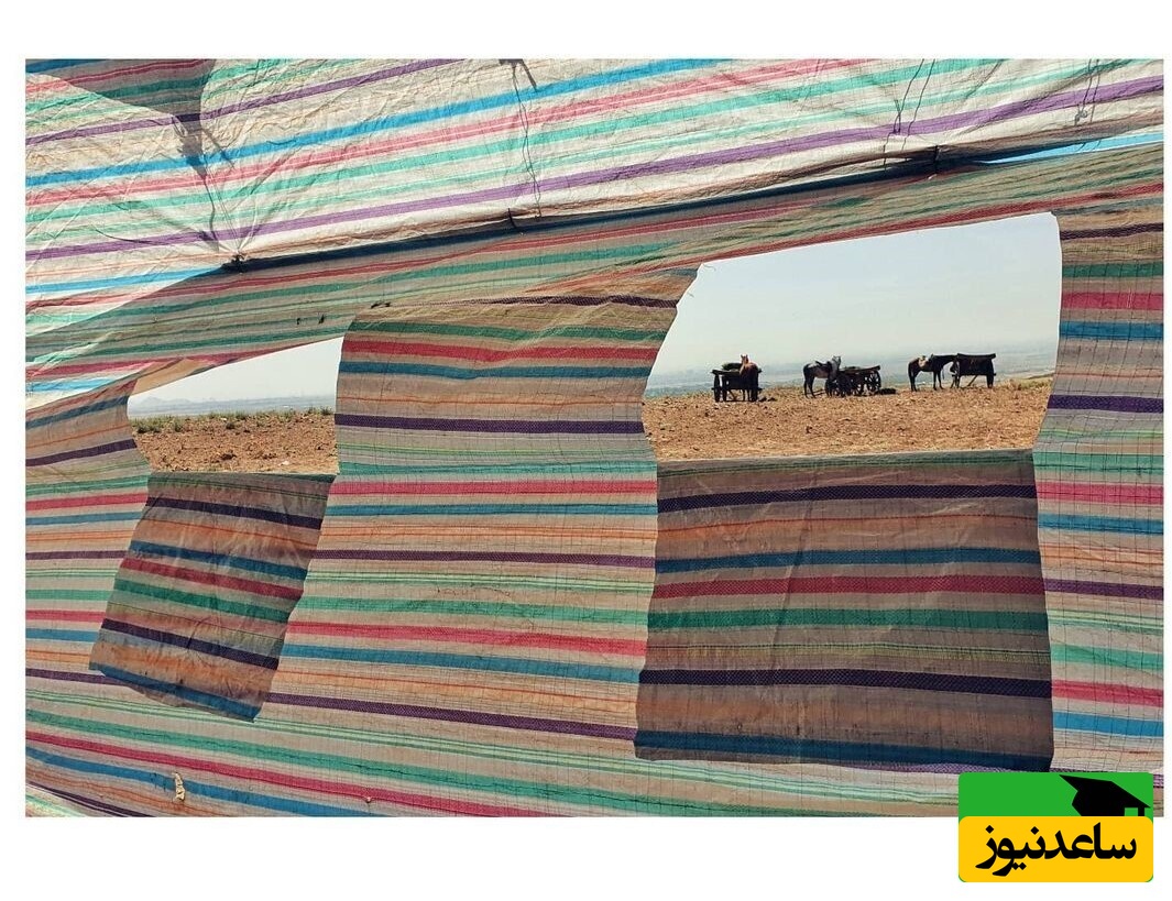 عکاسی مهدی پاکدل