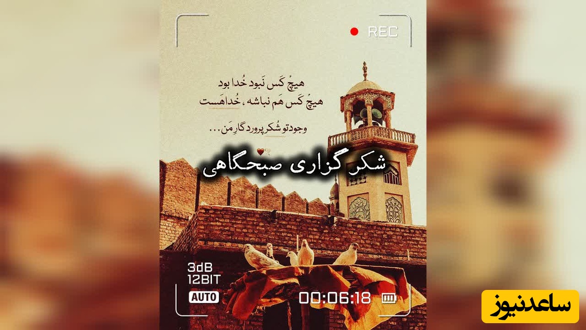 شکرگزاری صبحگاهی امروز دوشنبه 26 مرداد 1405 + ویدئو / هر چیزی که می‌خوای تو زندگیت باشه، هر روز شکرشو به جا بیار