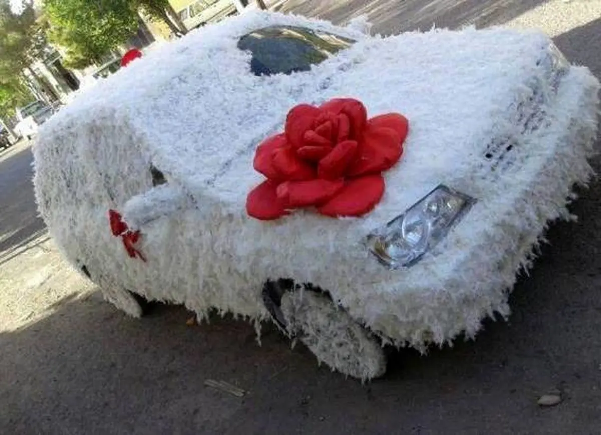 عجیب ترین ماشین عروس های دنیا که تا عمر داری یادت نمیره + عکس/ یعنی سم خالص🤣