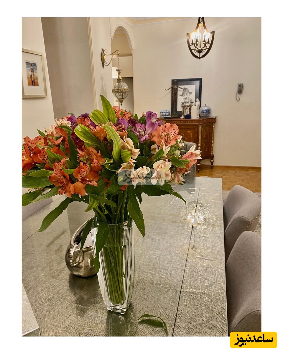 چیدمان منزل علی اوجی و نرگس محمدی