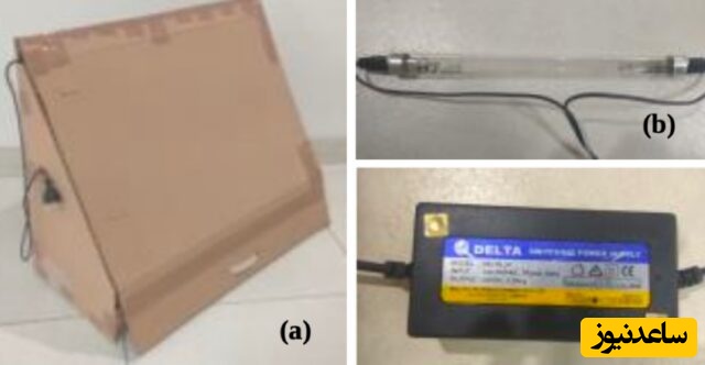 برندگان «نوبل مضحک» 2025 اعلام شدند