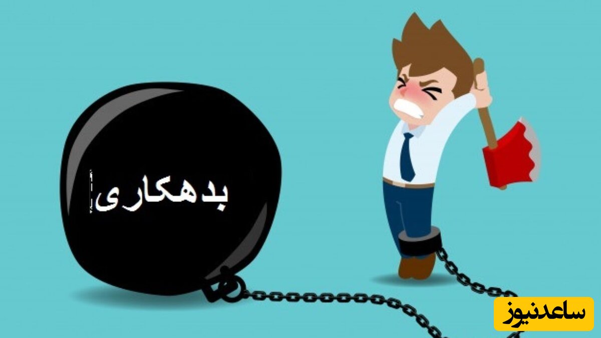 تابحال قانون (تا ندهی، نروی) را شنیده‌اید