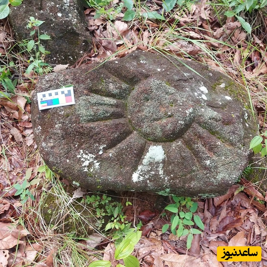 سنگ‌نگاره‌های زمان، آب و کیهان