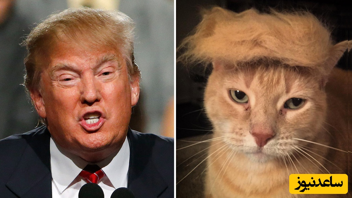 واکنش طنزآلود کیهان به گنده‌گویی‌های ترامپ: چِخِه بابا!