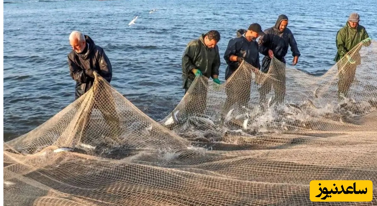 سفر در زمان؛ «صیادان ایرانی» در دریای خزر و در اواخر دوره قاجار