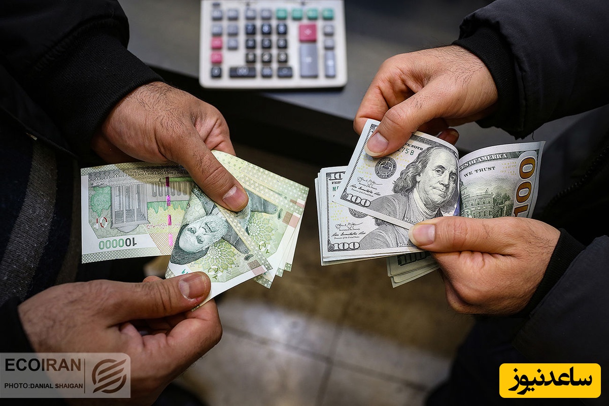 دلار دوباره اوج گرفت!/ اگر دنبال نوسان گیری هستید مراقب باشید...