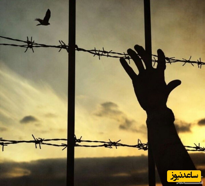 دیدن تبرئه در خواب چه تعبیری دارد؟ / تعبیر خواب تبرئه