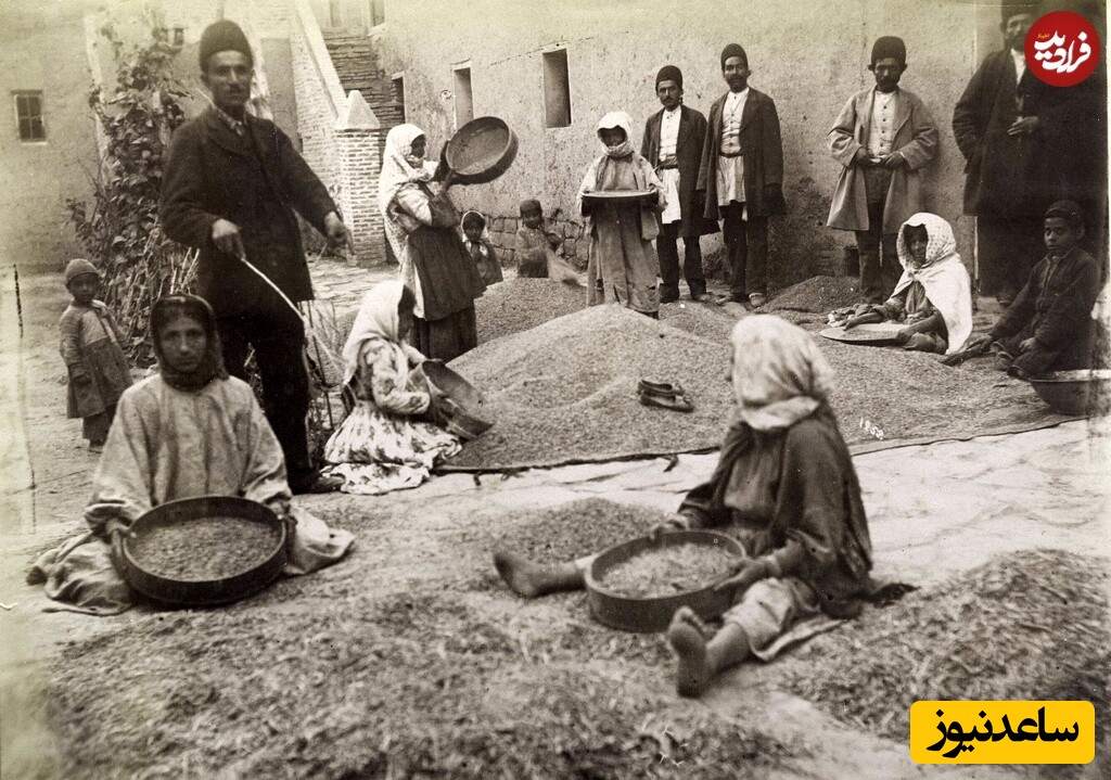 زنان در حال جدا کردن کاه از گندم و مردان در حال تماشا