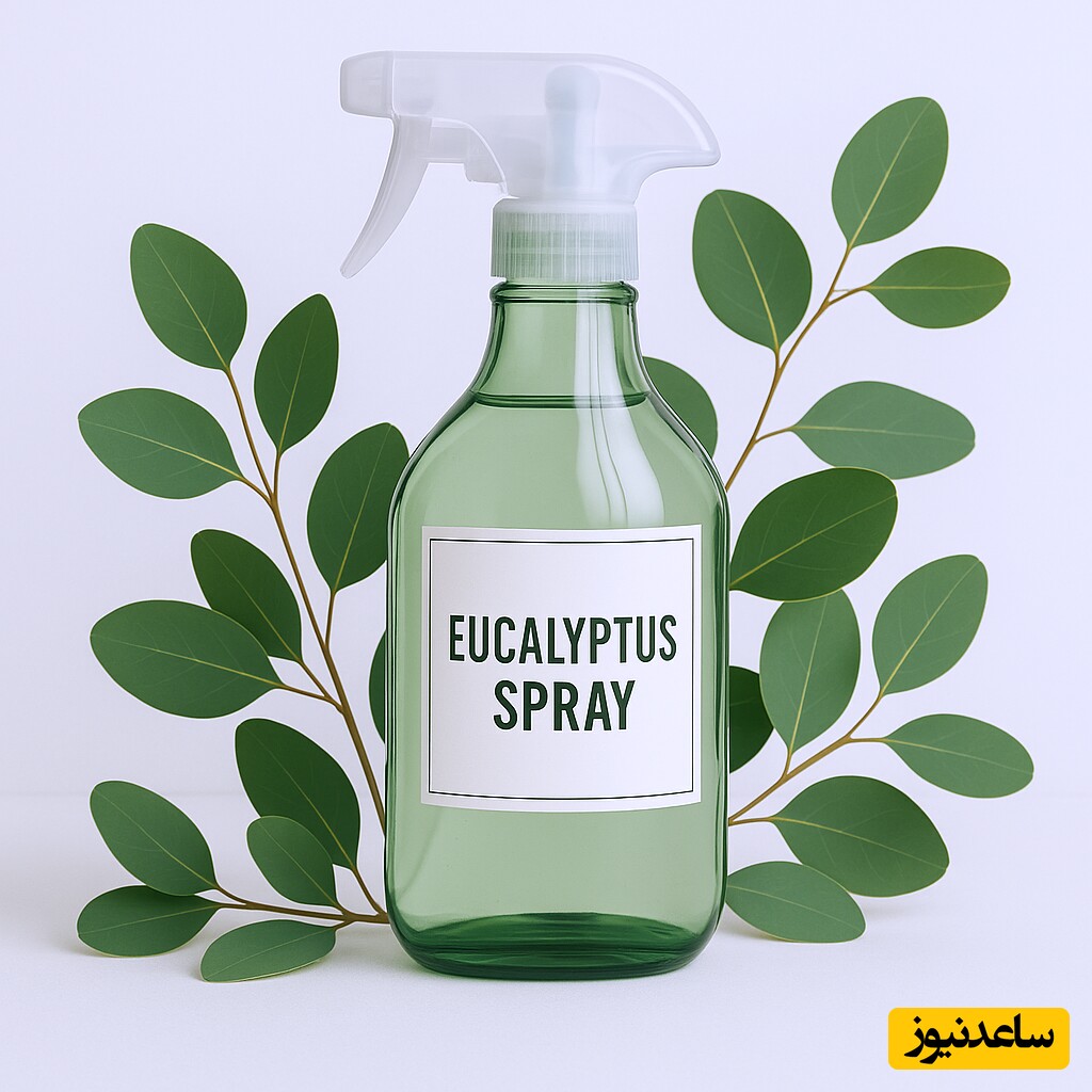 اسپری اکالیپتوس