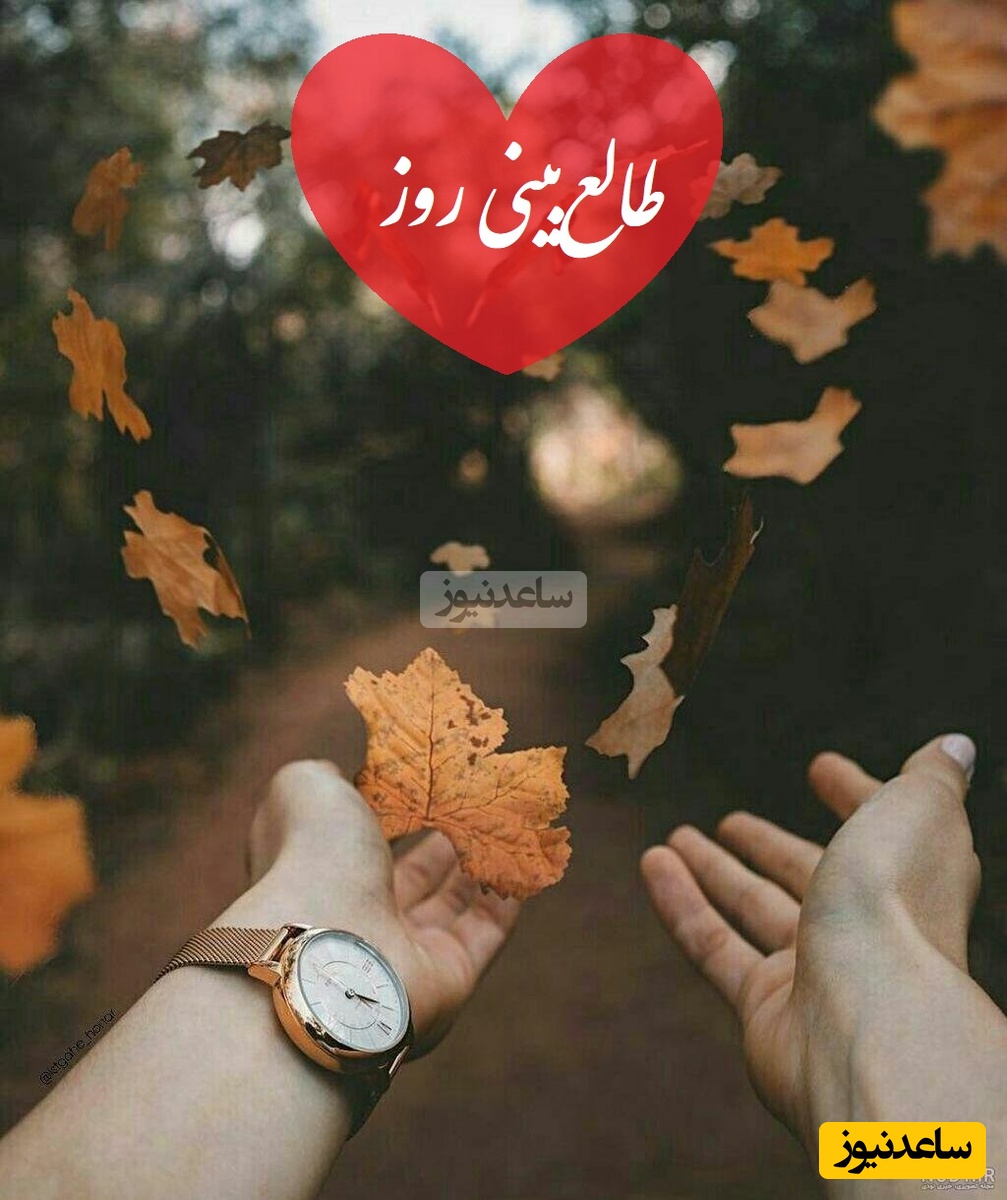 طالع‌بینی روز؛ عشقت رفته؟ نه پیام بده نه زنگ بزن این پیام رو بخون خودش برمیگرده / تقویم نجومی، اعمال، ذکر و نماز روز