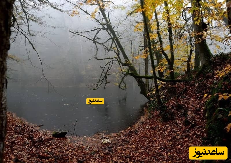 دریاچه فراخین