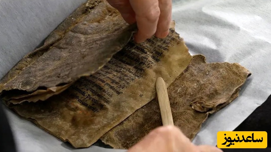 پیدا شدن قدیمی‌ترین کتاب نروژ که جلد آن از «پوست فُک» ساخته شده است
